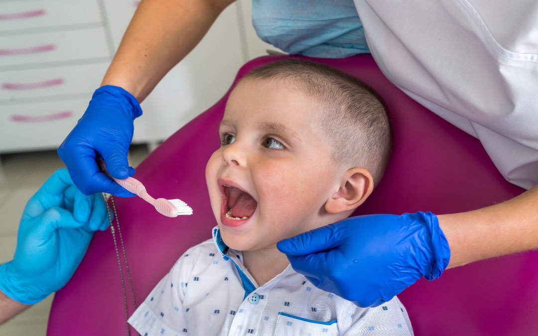 Como Escolher A Escova De Dentes Adequada Para Crian As Fabio